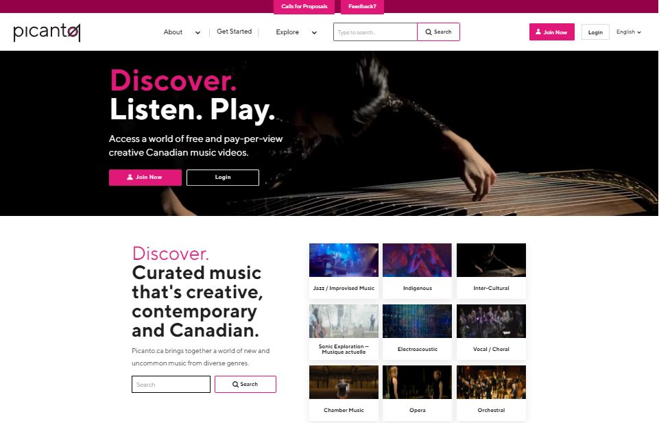 Picanto-homepage-screen-shot-ENG